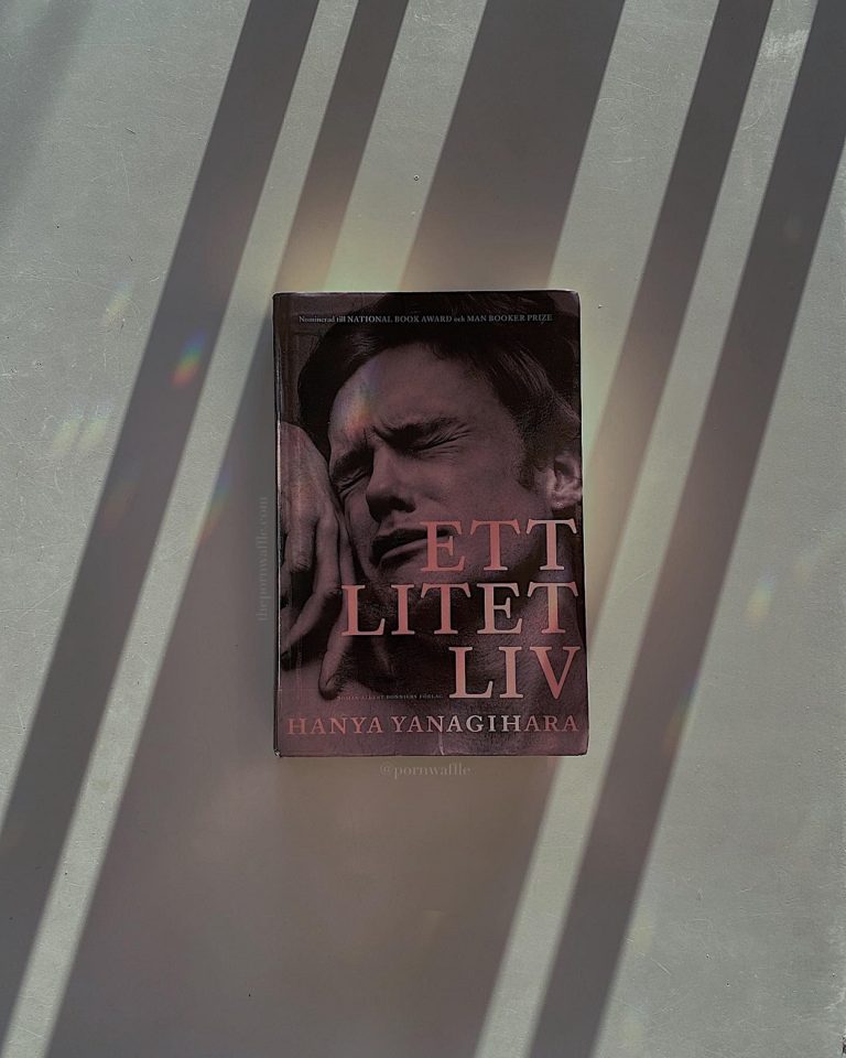 a little life, a book review
