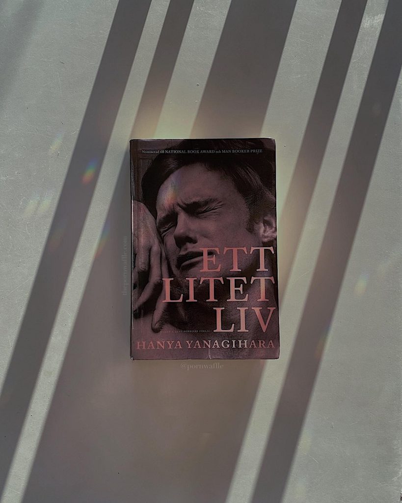 A Little Life Ett Litet Liv Un Vie Commes Les Autres Hanya Yanagihara