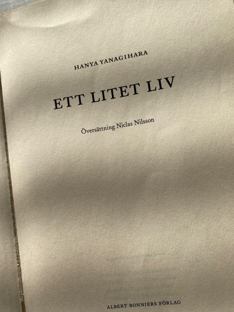 A Little Life Ett Litet Liv Un Vie Commes Les Autres Hanya Yanagihara